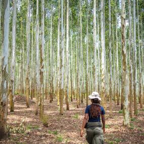 Female forester in the forest