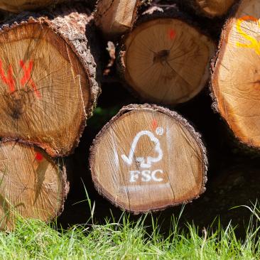 fsc marked cut log