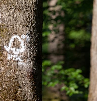 fsc marked tree