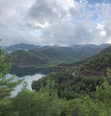 Forest and Lake